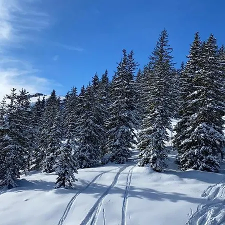 Lejlighed Alpin 14 Kaprun