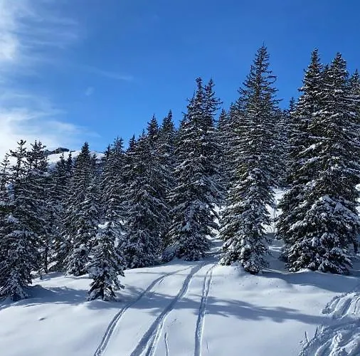 Διαμέρισμα Alpin 14 Kaprun